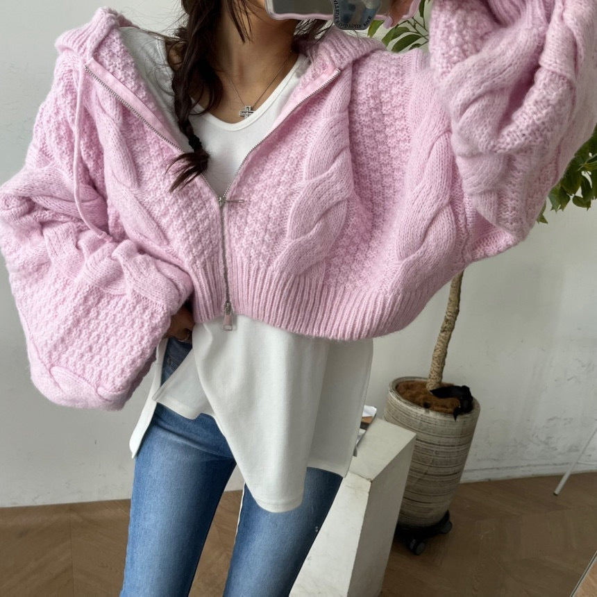 Zipper Hooded Crop Sweater