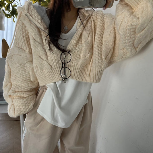 Zipper Hooded Crop Sweater
